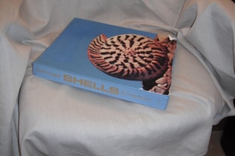 Cover art for Shells (A Studio book)