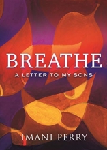Cover art for Breathe: A Letter to My Sons