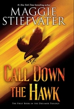 Cover art for Call Down the Hawk (The Dreamer Trilogy, Book 1)