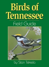 Cover art for Birds of Tennessee Field Guide