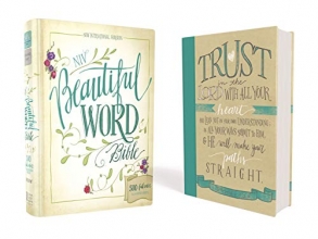 Cover art for NIV, Beautiful Word Bible, Hardcover: 500 Full-Color Illustrated Verses