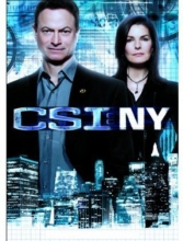 Cover art for CSI: NY - The Final Season