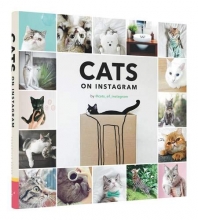 Cover art for Cats on Instagram