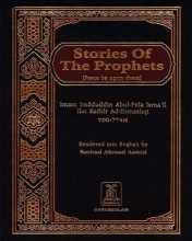 Cover art for Stories of the Prophets