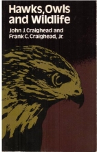 Cover art for Hawks, Owls, and Wildlife
