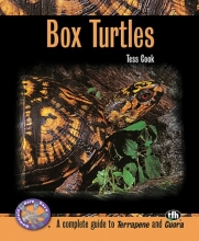Cover art for Box Turtles (Complete Herp Care)