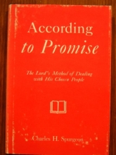 Cover art for According to Promise