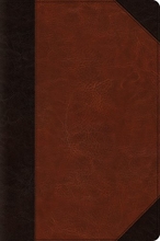 Cover art for ESV Large Print Bible (TruTone, Brown/Cordovan, Portfolio Design)