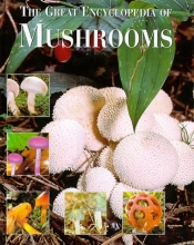 Cover art for The Great Encyclopedia of Mushrooms