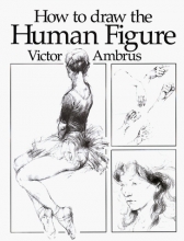 Cover art for How to Draw the Human Figure
