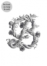 Cover art for Sagmeister & Walsh: Beauty