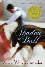 Cover art for Shadow of a Bull