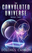 Cover art for The Convoluted Universe, Book 2