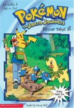 Cover art for Winner Takes All (Pokemon The Johto Journeys #28)