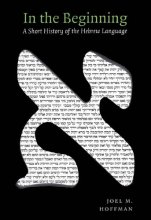 Cover art for In the Beginning: A Short History of the Hebrew Language