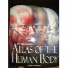 Cover art for The Illustrated Atlas of the Human Body