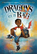 Cover art for Dragons in a Bag