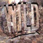 Cover art for Wild 1 (1988) / Vinyl record [Vinyl-LP]