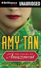 Cover art for The Valley of Amazement