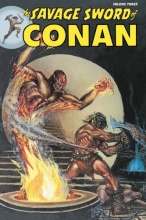 Cover art for Savage Sword of Conan Volume 3 (Conan (Graphic Novels)) (v. 3)