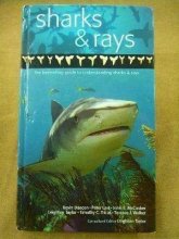 Cover art for A Guide to Sharks & Rays