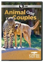 Cover art for Nature: Animal Odd Couples