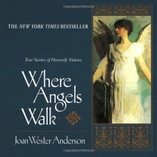 Cover art for Where Angels Walk