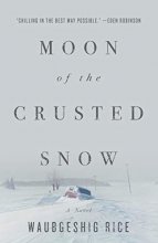 Cover art for Moon of the Crusted Snow: A Novel