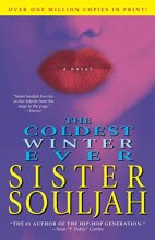 Cover art for The Coldest Winter Ever: A Novel