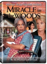 Cover art for Miracle in the Woods