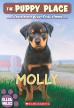 Cover art for The Molly (The Puppy Place #31) (31)