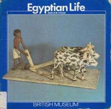 Cover art for Egyptian Life (British Museum)