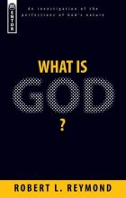 Cover art for What Is God?: An investigation of the perfections of Gods nature