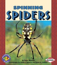 Cover art for Spinning Spiders (Pull Ahead Books ― Animals)