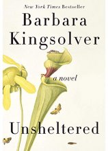 Cover art for Unsheltered: A Novel