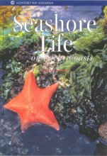 Cover art for Seashore Life on Rocky Coasts (Monterey Bay Aquarium Natural History Series)