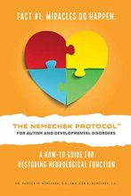 Cover art for THE Nemecheck Protocol FOR AUTISM AND DEVELOPMENTAL DISORDERS: A How-To Guide For Restoring Neurological Function