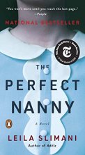 Cover art for The Perfect Nanny: A Novel