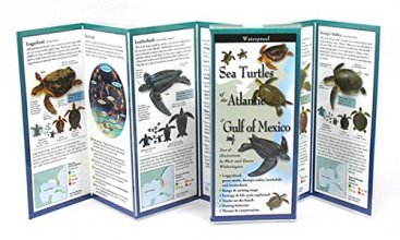 Cover art for Sea Turtles of the Atlantic & Gulf of Mexico (Foldingguides)