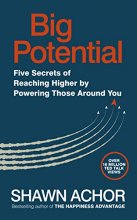 Cover art for Big Potential: Five Strategies to Reach New Heights of Creativity, Productivity, Performance and Success