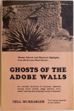 Cover art for Ghosts of the Adobe Walls