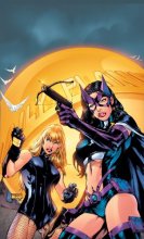 Cover art for Birds of Prey, Vol. 4: The Battle Within