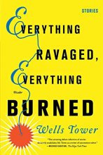 Cover art for Everything Ravaged, Everything Burned: Stories