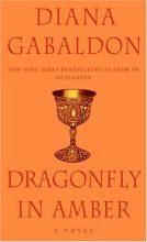 Cover art for Dragonfly in Amber