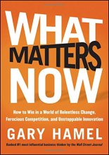 Cover art for What Matters Now: How to Win in a World of Relentless Change, Ferocious Competition, and Unstoppable Innovation