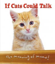 Cover art for If Cats Could Talk (The Meaning of Meow)