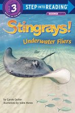Cover art for Stingrays! Underwater Fliers (Step into Reading)