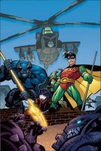 Cover art for Robin: Days of Fire and Madness