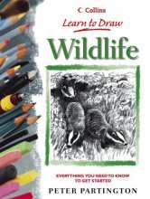 Cover art for Wildlife (Collins Learn to Draw)