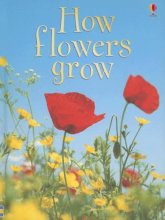 Cover art for How Flowers Grow (Usborne Beginners, Level 1)